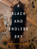A_Black_and_Endless_Sky
