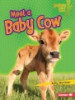 Meet_a_baby_cow
