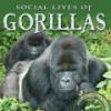Social_lives_of_gorillas