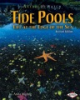 Tide_pools