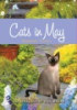 Cats_in_May
