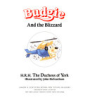 Budgie_and_the_blizzard