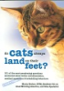 Do_cats_always_land_on_their_feet_