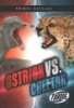 Ostrich_vs__cheetah