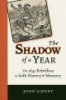The_shadow_of_a_year