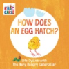 How_does_an_egg_hatch_