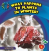 What_happens_to_plants_in_winter_