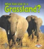 What_can_live_in_a_grassland_