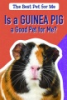 Is_a_guinea_pig_a_good_pet_for_me_