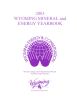 Wyoming_mineral_and_energy_yearbook