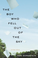 The_boy_who_fell_out_of_the_sky