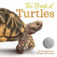 The_book_of_turtles