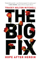 The_big_fix