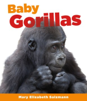 Baby_gorillas
