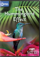 The_hummingbird_effect