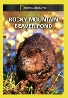 Rocky_Mountain_beaver_pond