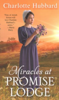 Miracles_at_Promise_Lodge
