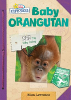 Baby_orangutan