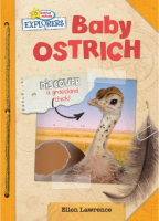 Baby_ostrich