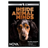 Inside_animal_minds
