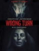 Wrong_turn