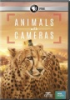 Animals_with_cameras