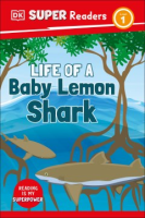 Life_of_a_baby_lemon_shark
