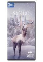Santa_s_wild_home
