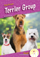 Terrier_group