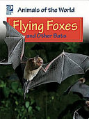 Flying_foxes_and_other_bats
