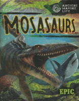 Mosasaurs
